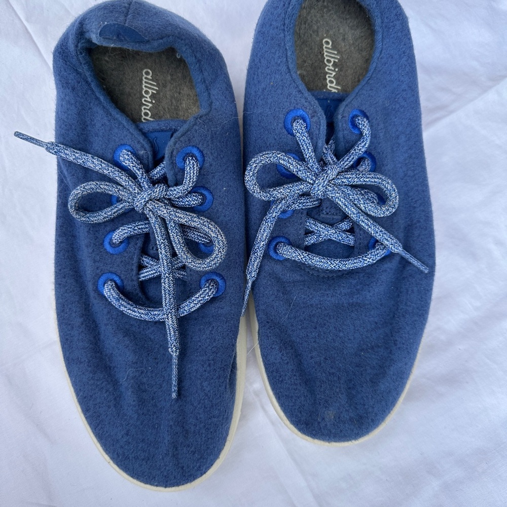 Allbirds Blue Wool Shoes